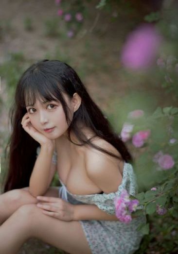 火影忍者1-720集