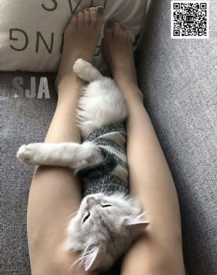 恐怖故事电影