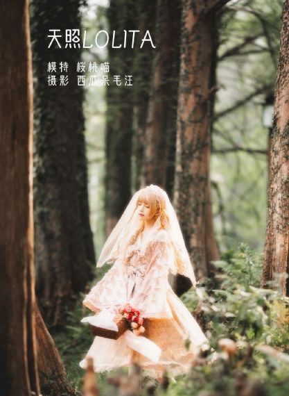 甲铁城的卡巴内瑞第一季免费观看