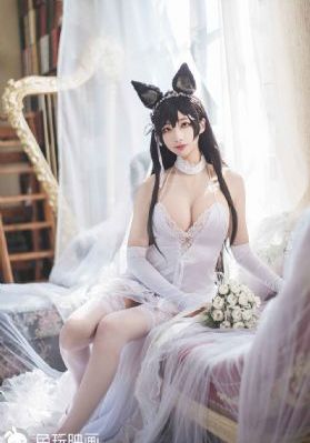 女子大乱斗免费观看全集